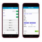 実績Lite